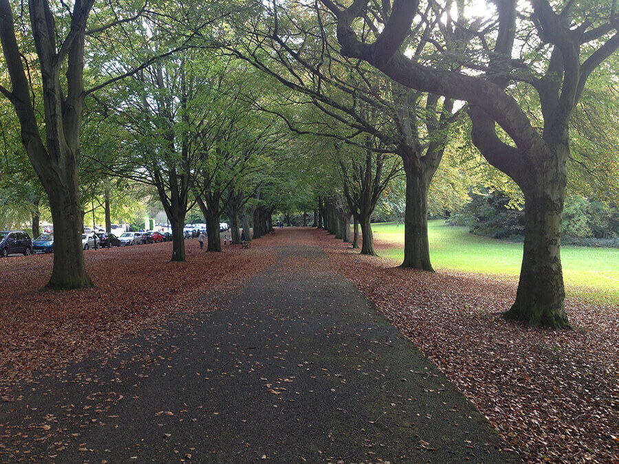 🌿 Doğa ve Yaşam