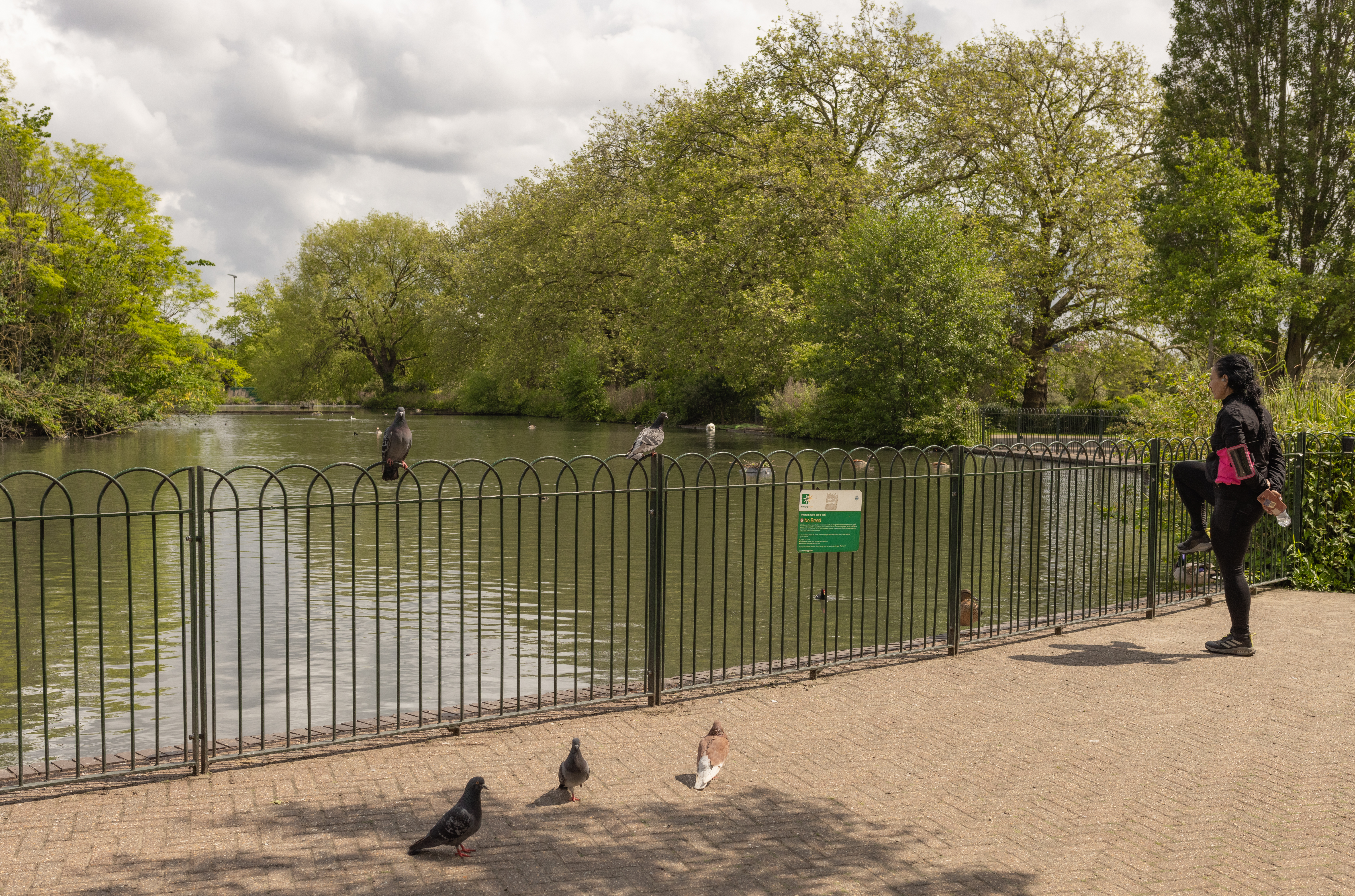 Northgate Park - Image 7